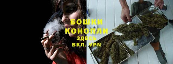 прущая мука Иннополис