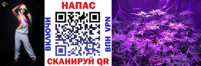 Купить где  Сланцы  Конопля OG Kush 